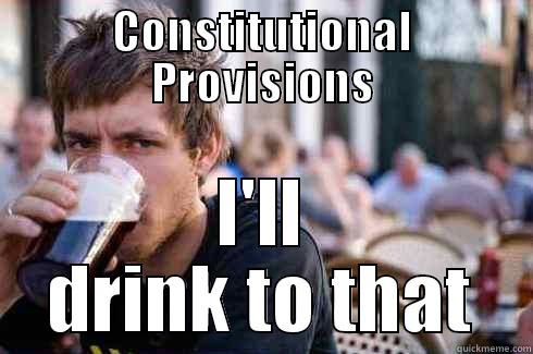 CONSTITUTIONAL PROVISIONS I'LL DRINK TO THAT Lazy College Senior