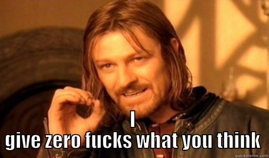  I GIVE ZERO FUCKS WHAT YOU THINK Boromir