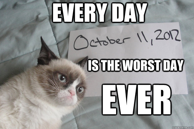 is the worst day ever Every day  - is the worst day ever Every day   Bad Day Grumpy Cat
