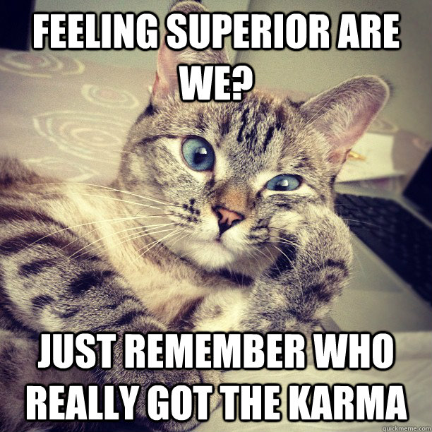 Feeling superior are we? Just remember who really got the karma - Feeling superior are we? Just remember who really got the karma  Misc