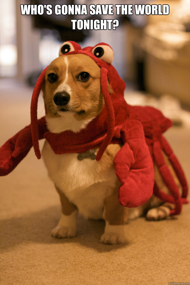 Who's Gonna Save the World Tonight?   serious lobster dog
