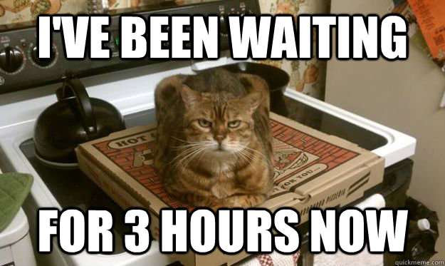 I've been waiting  for 3 hours now - I've been waiting  for 3 hours now  sittin cat