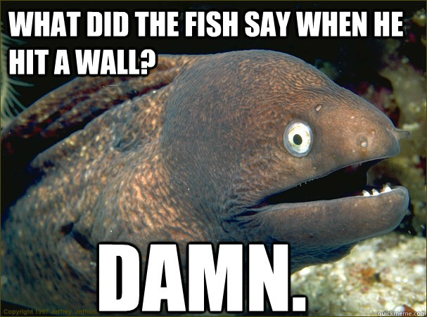 What did the fish say when he hit a wall? Damn. - What did the fish say when he hit a wall? Damn.  Bad Joke Eel