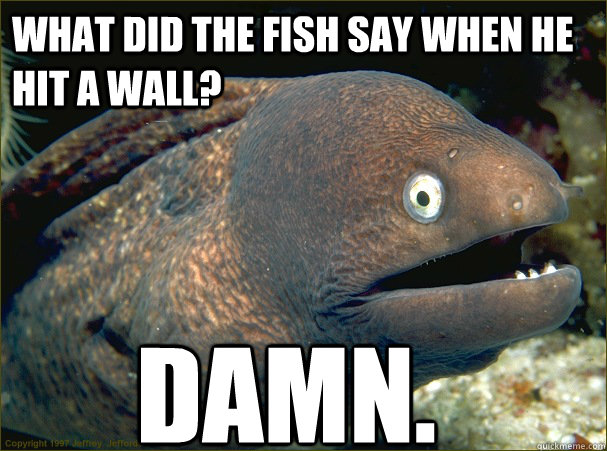 What did the fish say when he hit a wall? Damn.  Bad Joke Eel