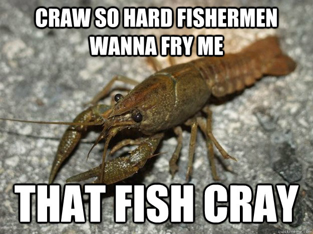 craw so hard fishermen wanna fry me That fish cray - craw so hard fishermen wanna fry me That fish cray  Crawfish