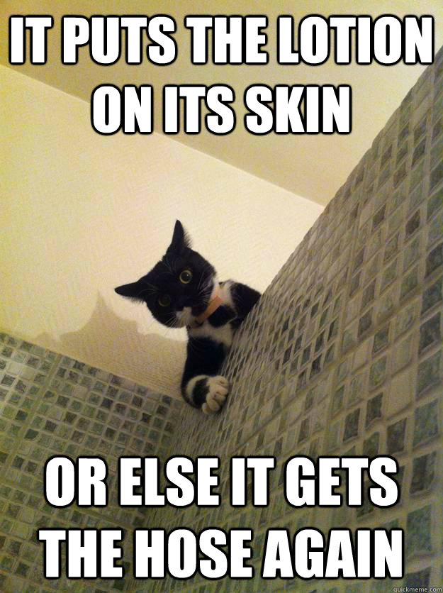 it puts the lotion on its skin or else it gets the hose again  Incredulous Cat