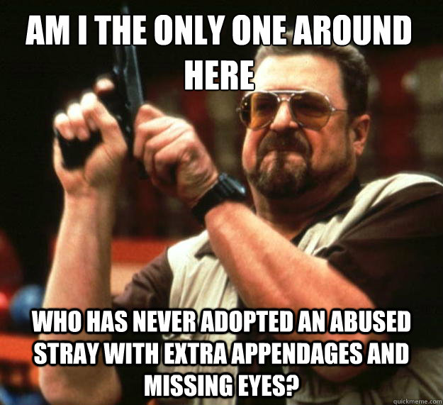 Am I the only one around here Who has never adopted an abused stray with extra appendages and missing eyes?  Walter
