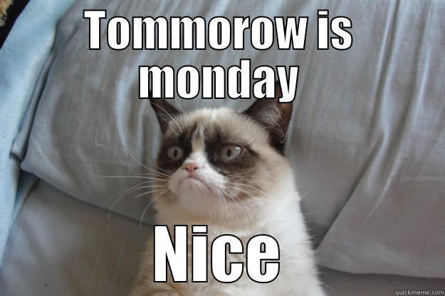 aaaahh monday - TOMMOROW IS MONDAY NICE Grumpy Cat