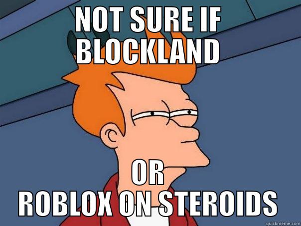 NOT SURE IF BLOCKLAND OR ROBLOX ON STEROIDS Futurama Fry