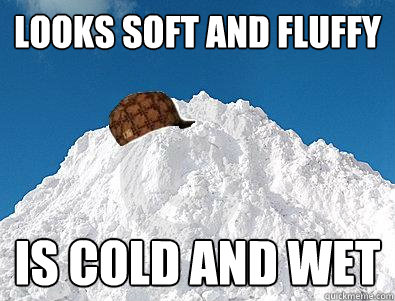 Looks soft and fluffy Is cold and wet  