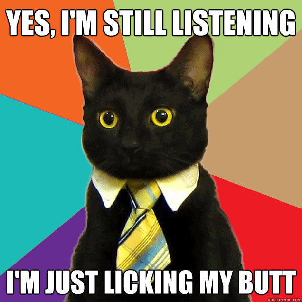 yes, i'm still listening i'm just licking my butt  Business Cat