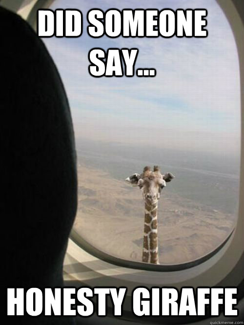 Did someone say... Honesty Giraffe - Did someone say... Honesty Giraffe  Flying Giraffe