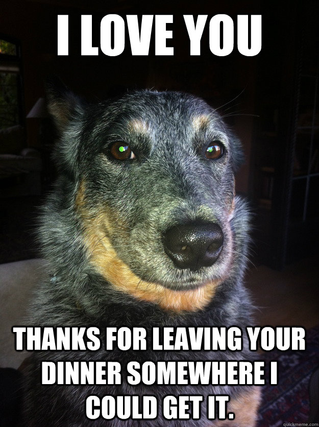 I Love You Thanks for leaving your dinner somewhere I could get it.  Sly Dog
