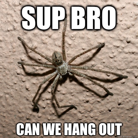 Sup Bro  Can we hang out sometime?  creepy spider