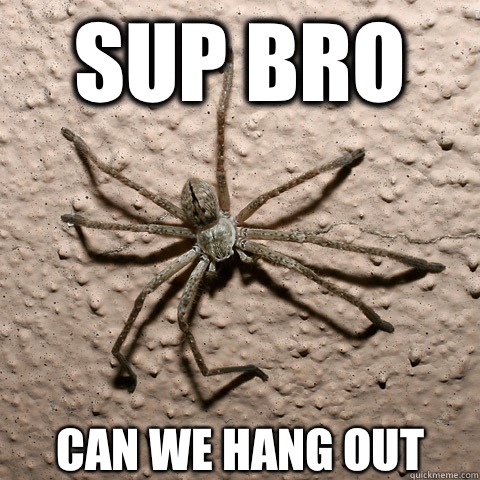 Sup Bro  Can we hang out sometime? - Sup Bro  Can we hang out sometime?  creepy spider