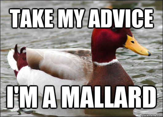 take my advice i'm a mallard  Malicious Advice Mallard