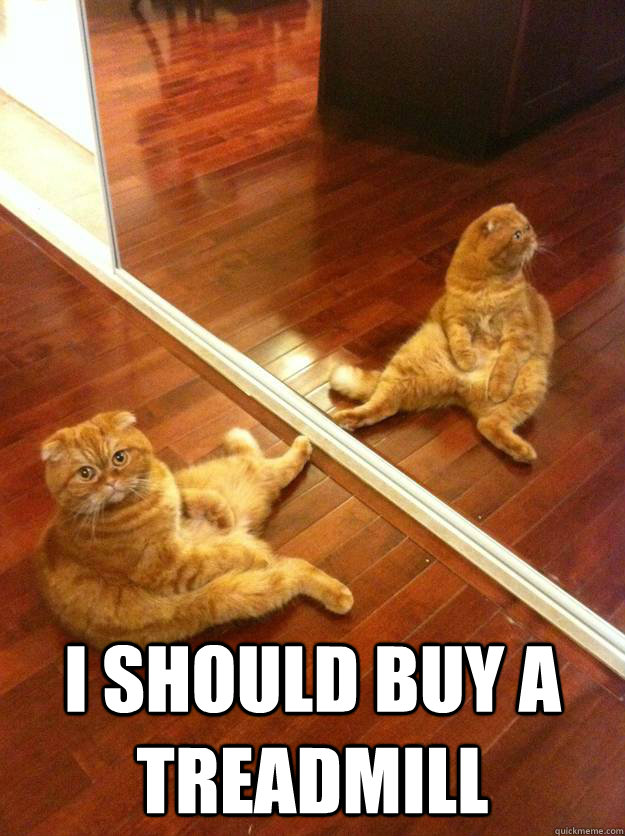  I should buy a Treadmill -  I should buy a Treadmill  Misc
