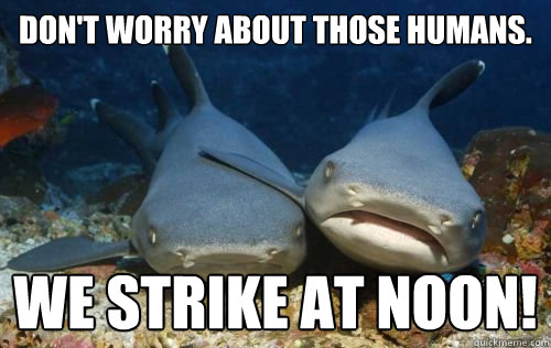 Don't worry about those humans. We strike at noon!  Compassionate Shark Friend