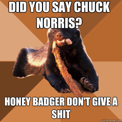 Did you say Chuck Norris? honey badger don't give a shit - Did you say Chuck Norris? honey badger don't give a shit  Crazy Nastyass Honey Badger