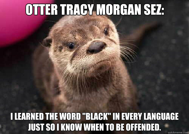 Otter Tracy Morgan sez: 
I learned the word 