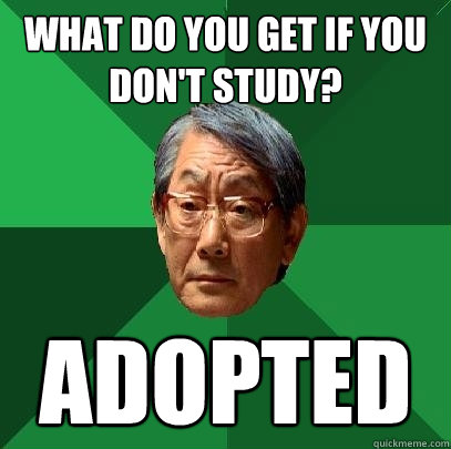 what do you get if you don't study? ADOPTED  High Expectations Asian Father
