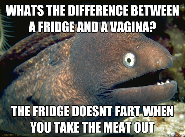 whats the difference between a fridge and a vagina? The fridge doesnt fart when you take the meat out - whats the difference between a fridge and a vagina? The fridge doesnt fart when you take the meat out  Bad Joke Eel