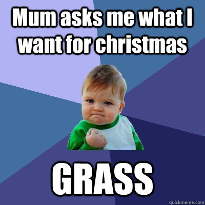 Mum asks me what I want for christmas GRASS  Success Kid