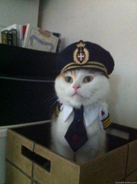   Captain kitteh