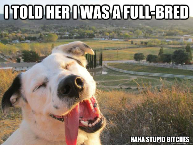 I told her I was a full-bred haha stupid bitches - I told her I was a full-bred haha stupid bitches  Joking Dog