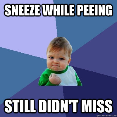 Sneeze while peeing still didn't miss - Sneeze while peeing still didn't miss  Success Kid