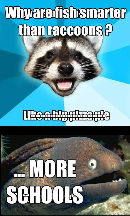 Why are fish smarter than raccoons ? ... MORE SCHOOLS ..............................    - Why are fish smarter than raccoons ? ... MORE SCHOOLS ..............................     Lame Pun Duet