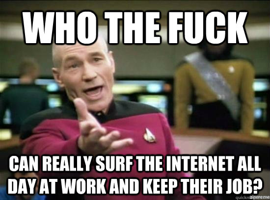 Who the fuck can really surf the internet all day at work and keep their job?  Annoyed Picard HD