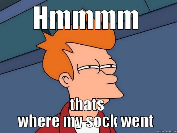 HMMMM THATS WHERE MY SOCK WENT  Futurama Fry