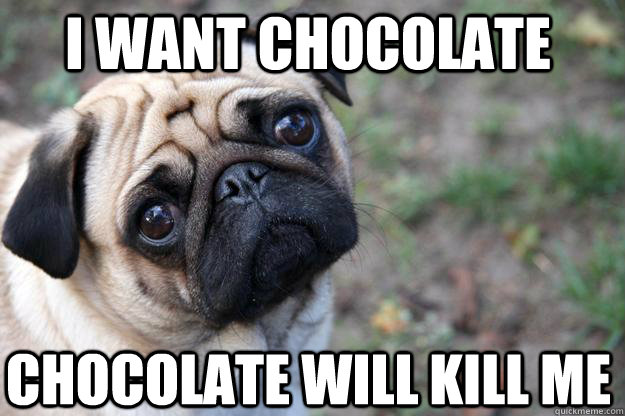 i want chocolate chocolate will kill me - i want chocolate chocolate will kill me  First World Dog problems