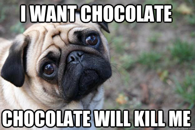 i want chocolate chocolate will kill me  First World Dog problems