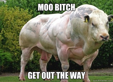Moo bitch Get out the way - Moo bitch Get out the way  Misc