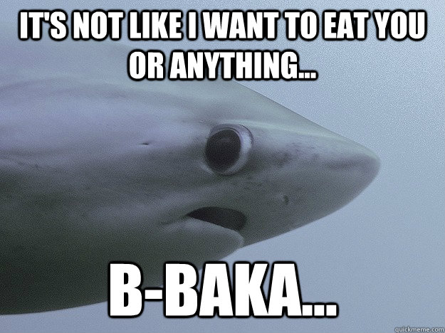 It's not like I want to eat you or anything... B-baka...  Shy Shark