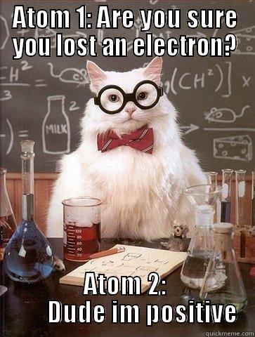ATOM 1: ARE YOU SURE YOU LOST AN ELECTRON? ATOM 2:         DUDE IM POSITIVE  Chemistry Cat