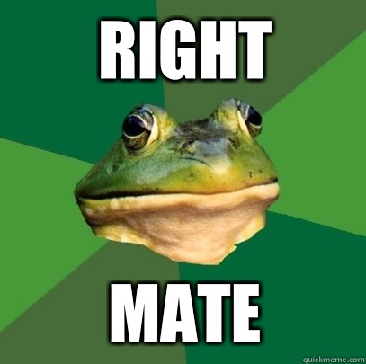 Right Mate  Foul Bachelor Frog