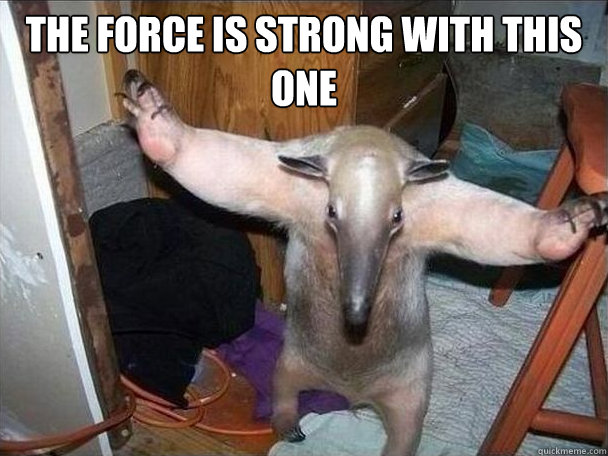 The force is strong with this one   I got this
