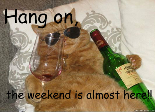 Hang on,  the weekend is almost here!! - Hang on,  the weekend is almost here!!  fat cat with wine