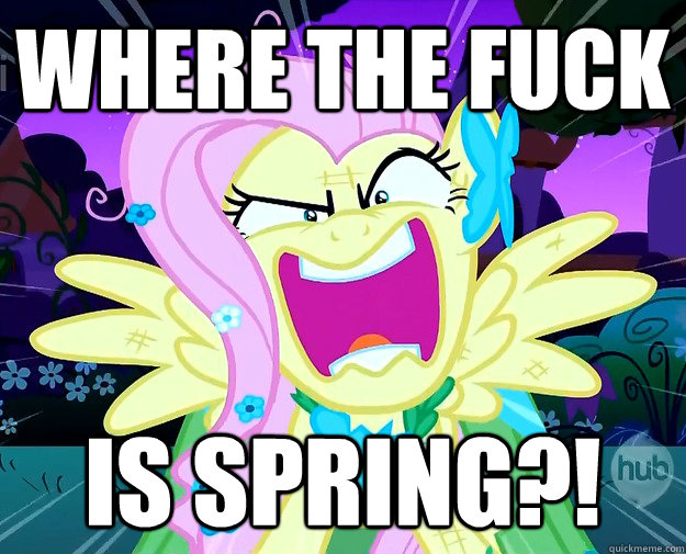 where the fuck is spring?! - where the fuck is spring?!  Rage Fluttershy