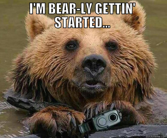 Just getting started... - I'M BEAR-LY GETTIN' STARTED...  Misc