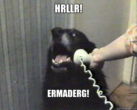 hrllr! ermaderg! - hrllr! ermaderg!  yes this is dog