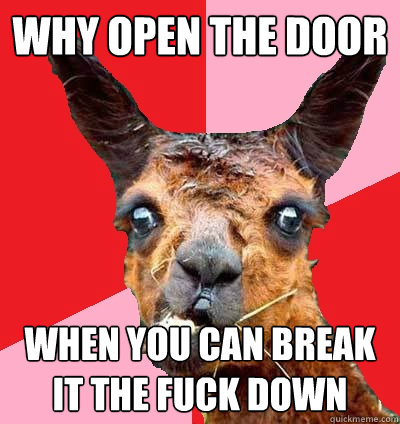 why open the door when you can break it the fuck down  