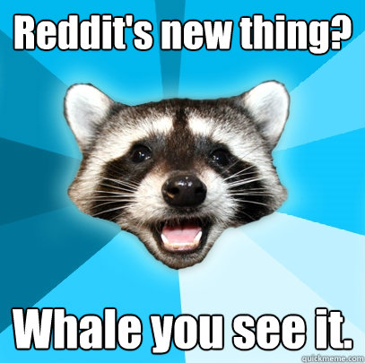 Reddit's new thing? Whale you see it.  Lame Pun Coon