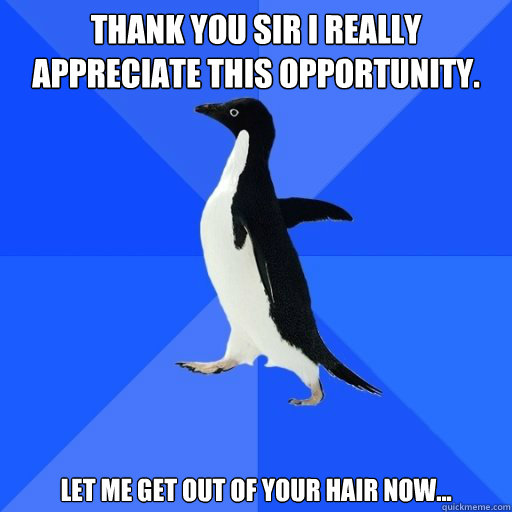 Thank you sir I really appreciate this opportunity.  let me get out of your hair now...    - Thank you sir I really appreciate this opportunity.  let me get out of your hair now...     socially akward penguin