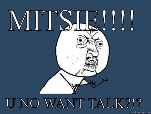 MITSIE!!!! Y U NO WANT TALK?!? Y U No