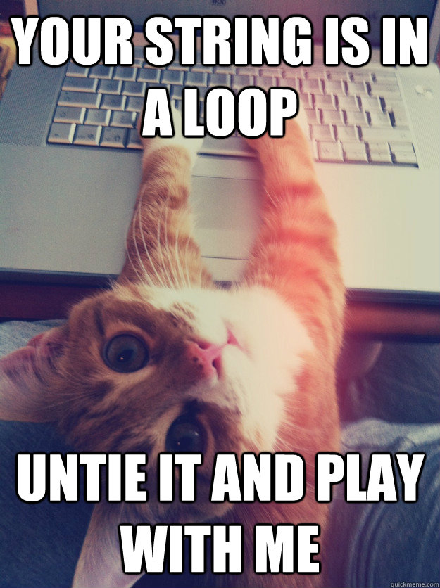 your string is in a loop untie it and play with me  Programmer Cat