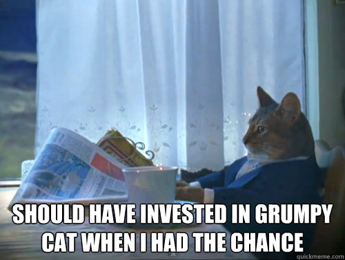  should have invested in grumpy cat when i had the chance  The One Percent Cat